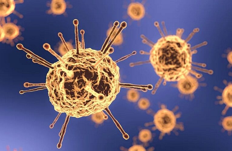 Apa Itu Virus Hendra dan Bagaimana Cara Pencegahannya?